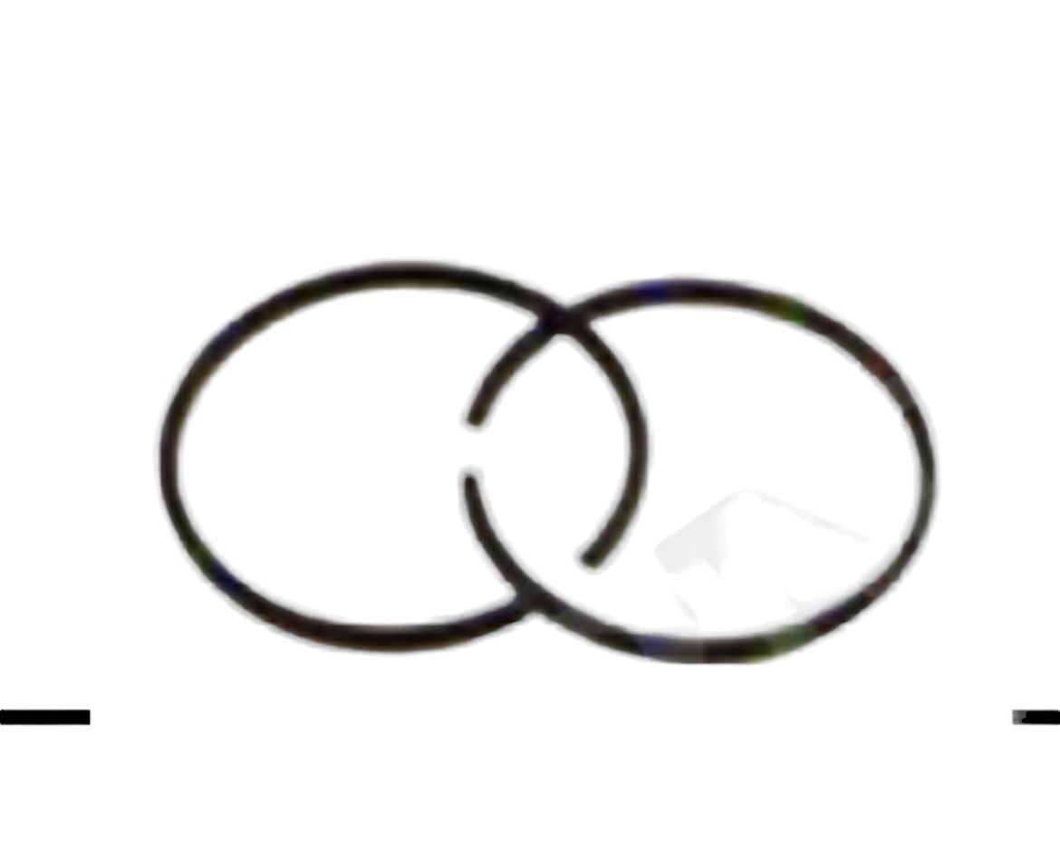 BENZİNLİ TIRPAN PİSTON SEKMANI (44mm)