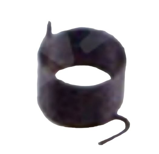 GASOLINE CYLINDER SPRING